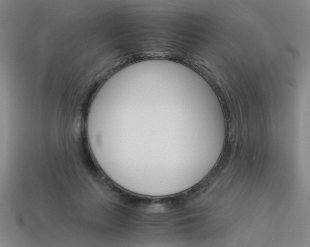 X0000113990647200910021011