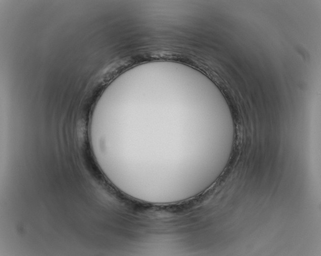 X0000113990648200910021011