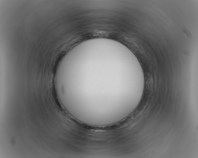 X0000113990649200910021011