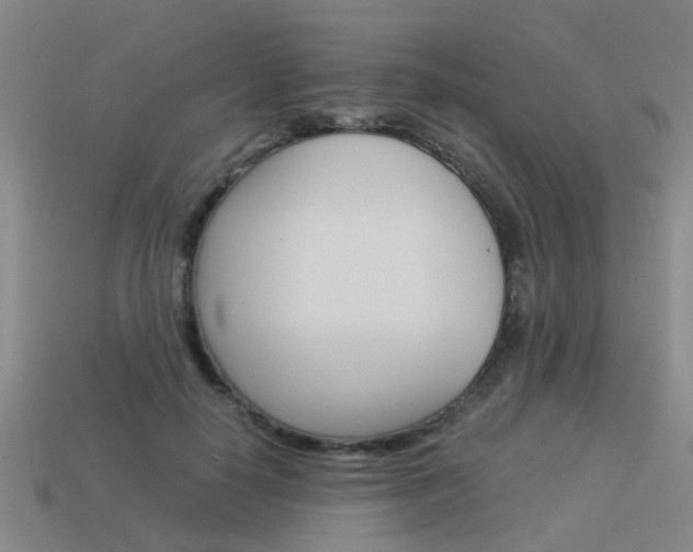 X0000113990650200910021011