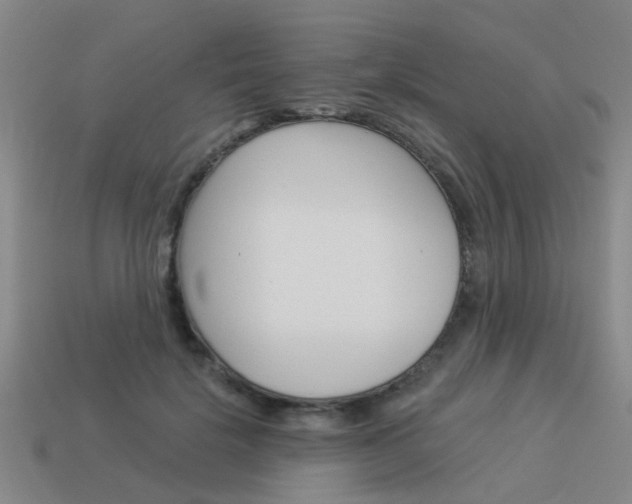 X0000113990652200910021011