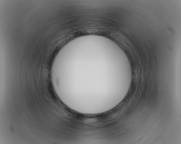 X0000113990653200910021011