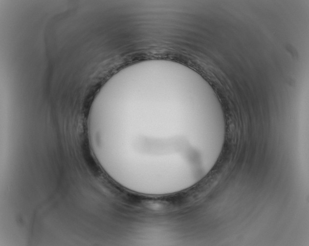 X0000113990654200910021011