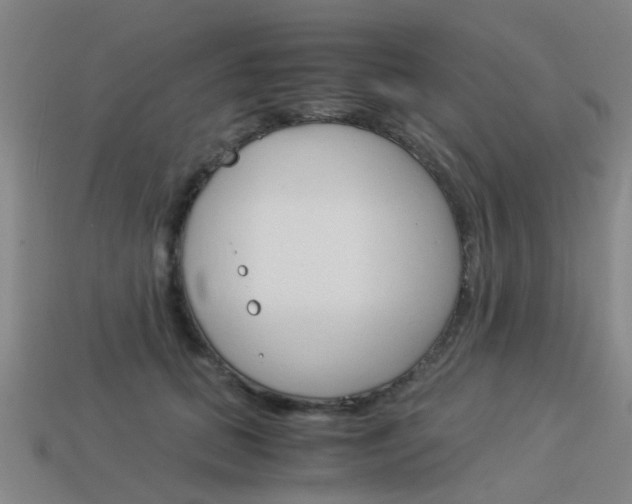 X0000113990655200910021011