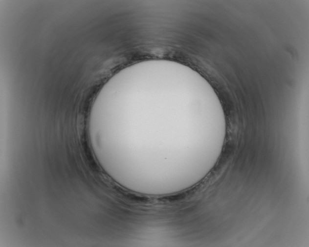 X0000113990656200910021011