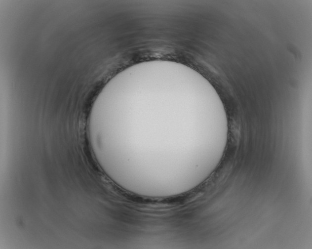 X0000113990657200910021011