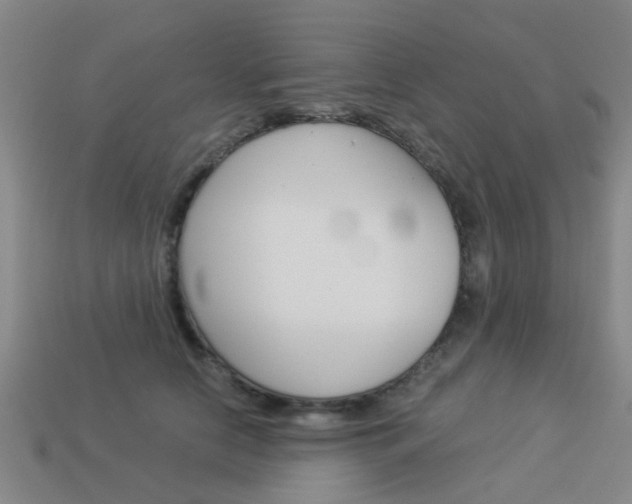 X0000113990658200910021011