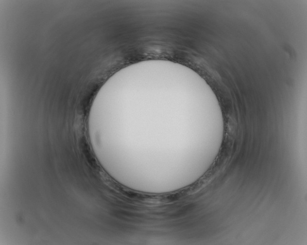 X0000113990659200910021011