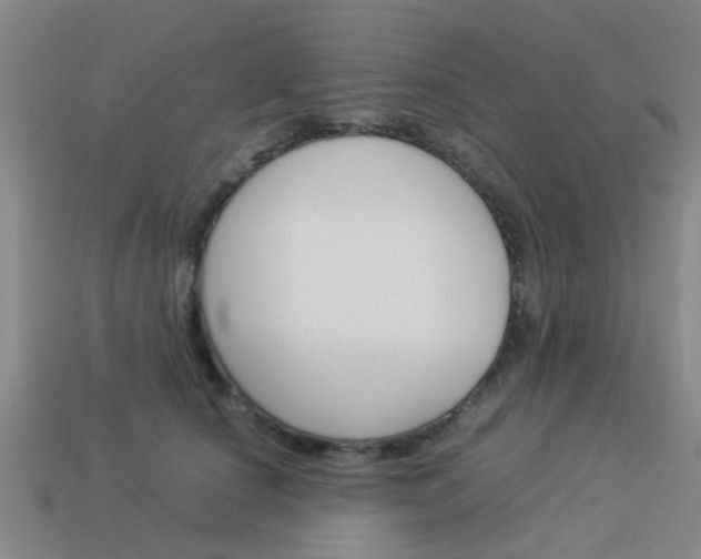 X0000113990660200910021011