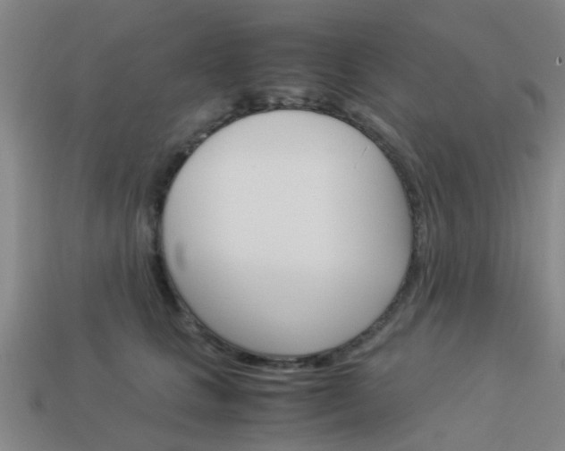 X0000113990661200910021011