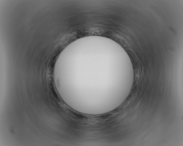 X0000113990663200910021011