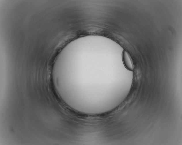 X0000113990664200910021011