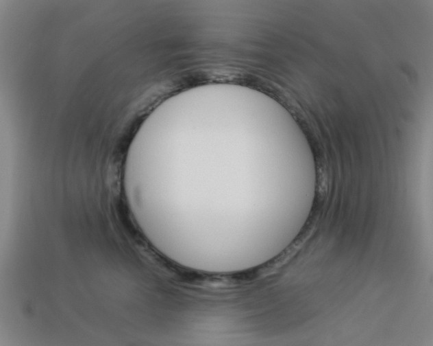 X0000113990666200910021011
