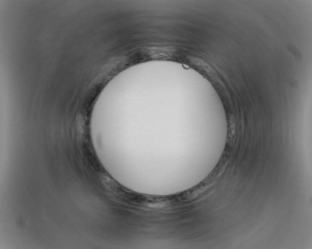 X0000113990667200910021011