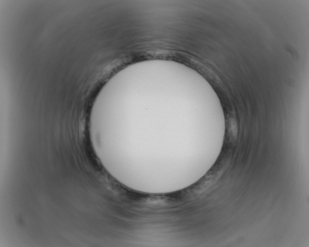 X0000113990668200910021011