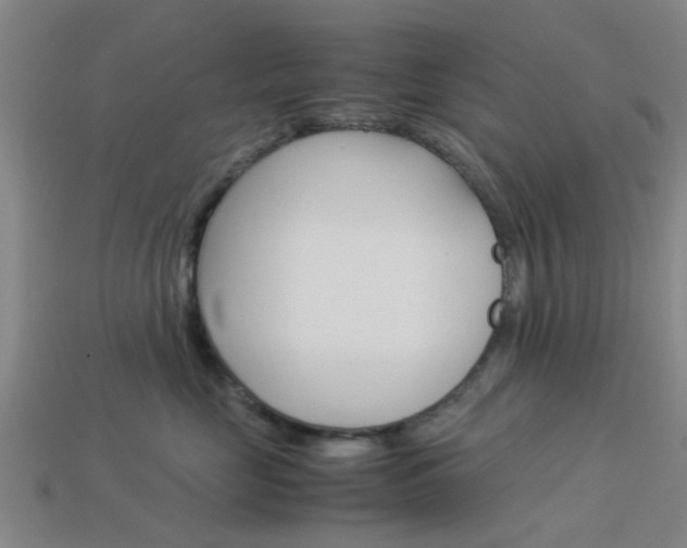 X0000113990669200910021011