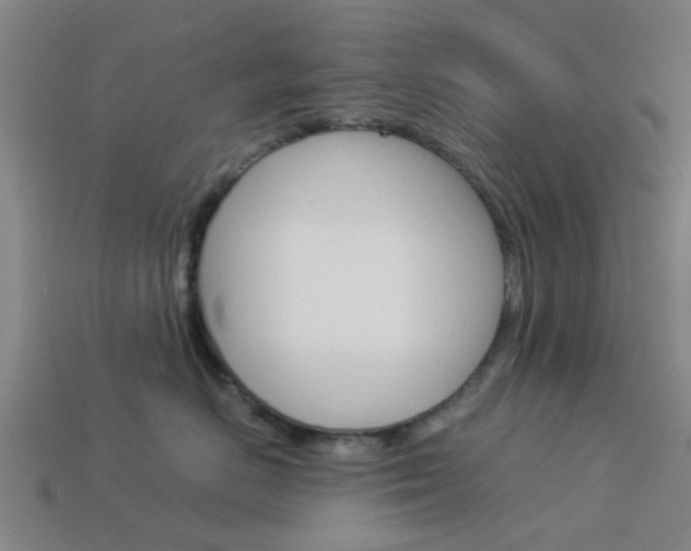 X0000113990670200910021011
