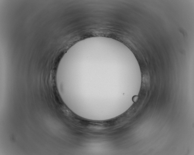 X0000113990671200910021011