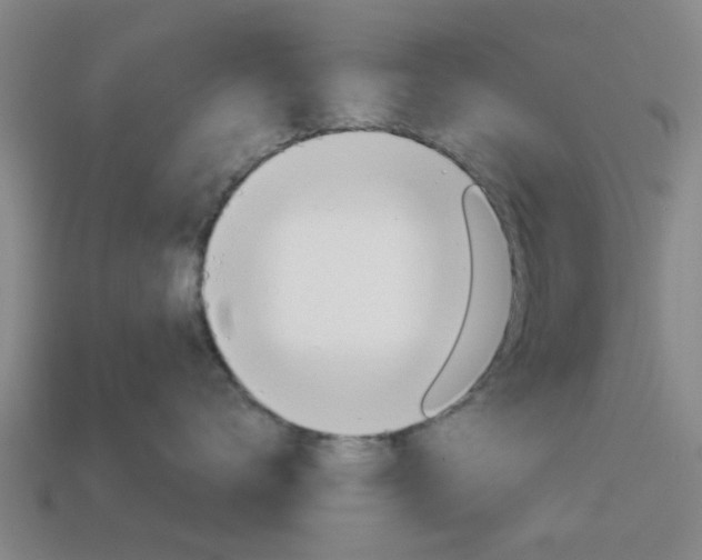 X0000113990672200910021011