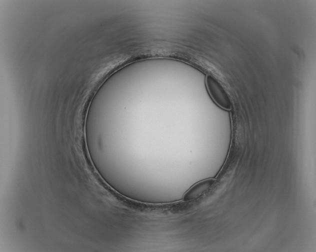 X0000113990673200910021010