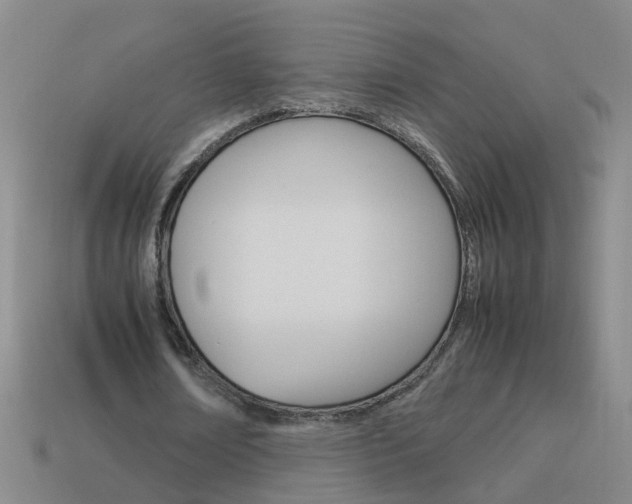 X0000113990674200910021010