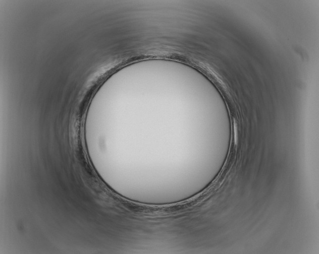 X0000113990675200910021010