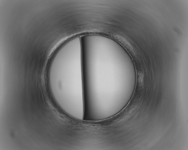 X0000113990676200910021010