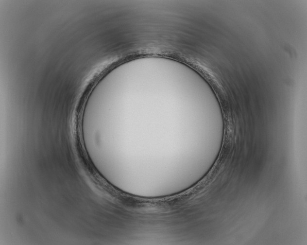 X0000113990678200910021010