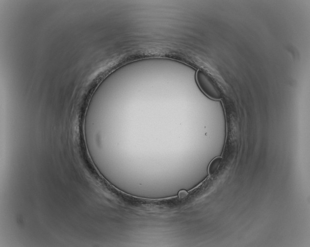 X0000113990681200910021010