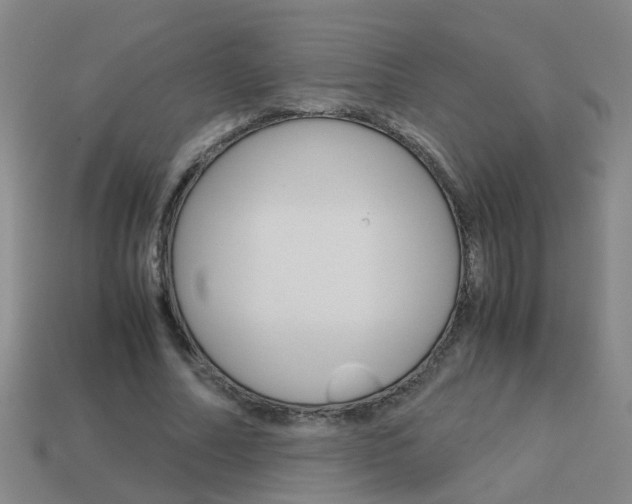 X0000113990682200910021010