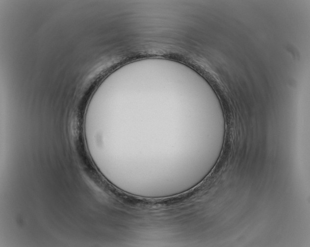 X0000113990683200910021010