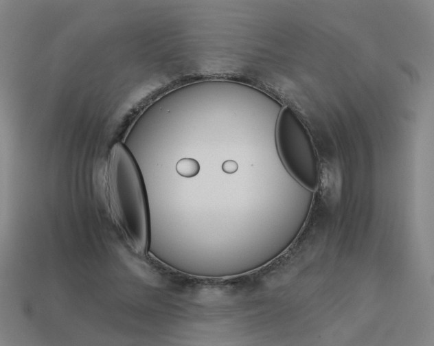 X0000113990684200910021010
