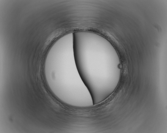 X0000113990685200910021010