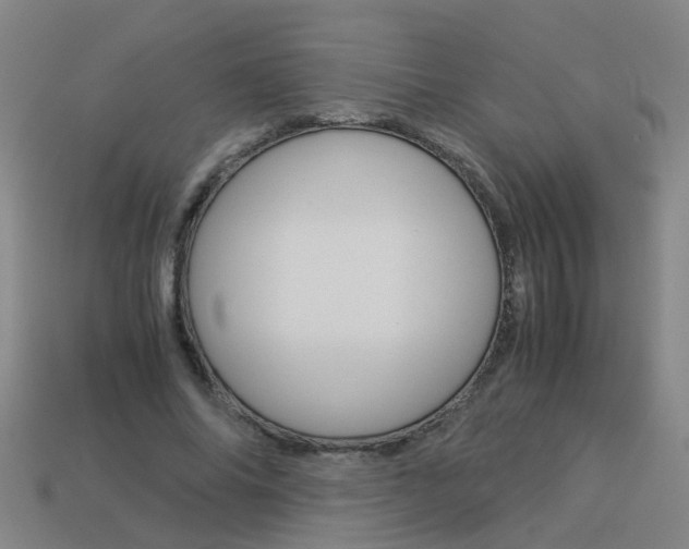 X0000113990686200910021010