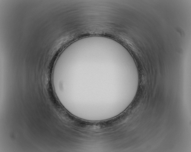 X0000113990687200910021010
