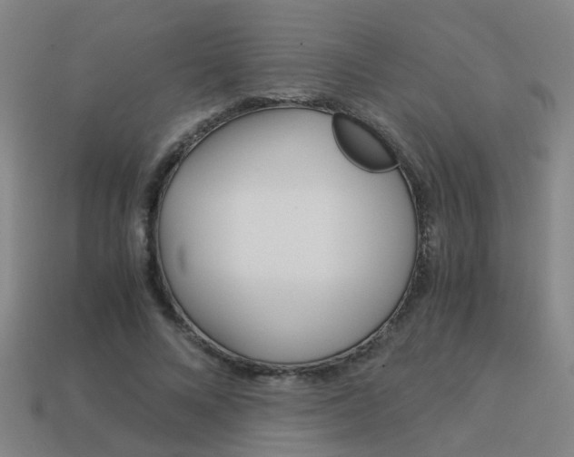 X0000113990688200910021010