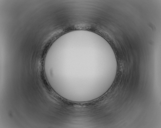 X0000113990690200910021010