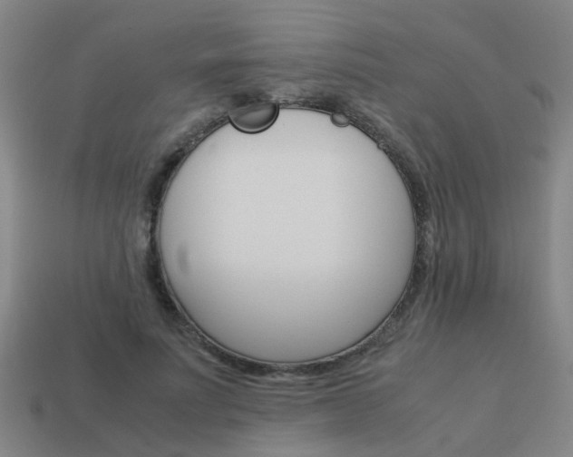 X0000113990691200910021010