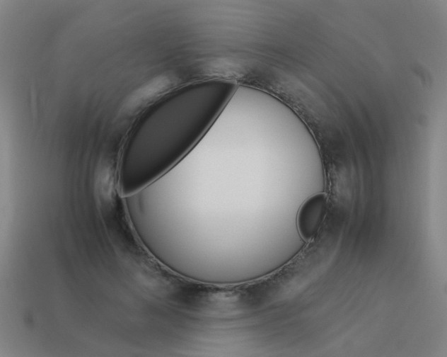 X0000113990692200910021010