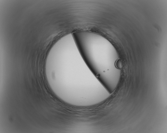 X0000113990693200910021010