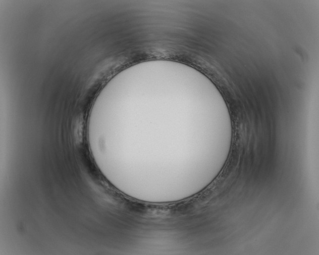 X0000113990694200910021010