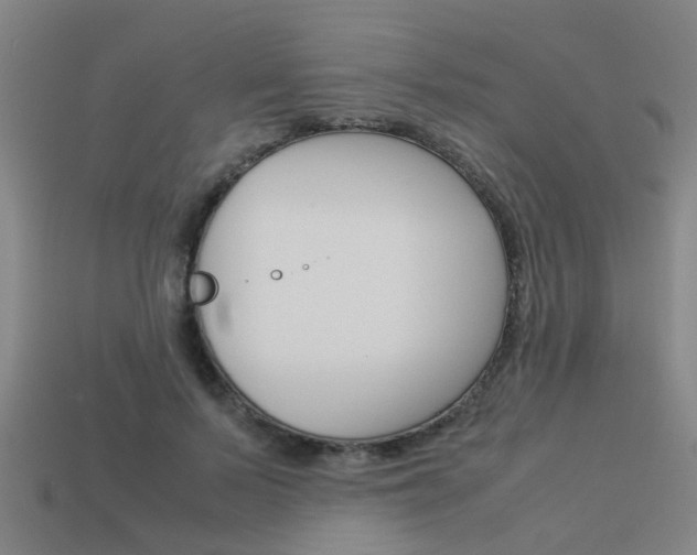 X0000113990695200910021010