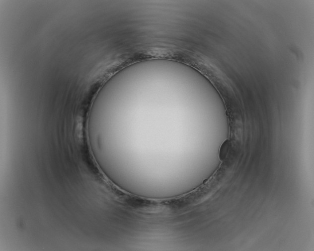 X0000113990696200910021010