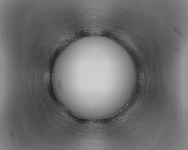 X0000113990697200910021010