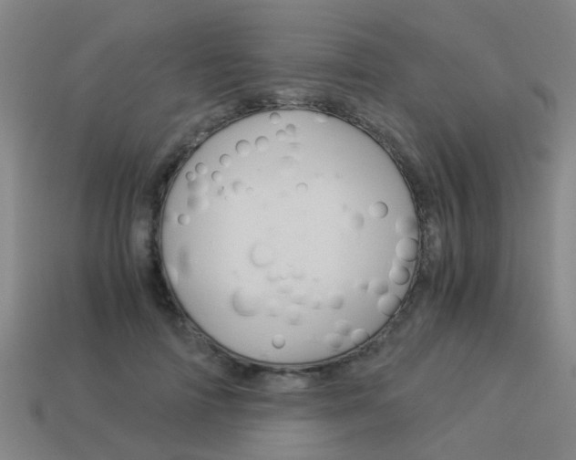 X0000113990698200910021010