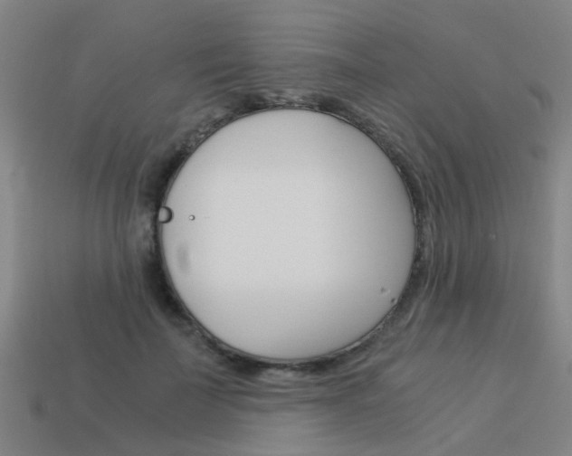 X0000113990699200910021010
