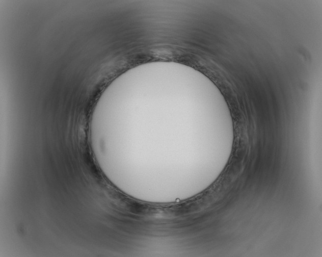 X0000113990702200910021010