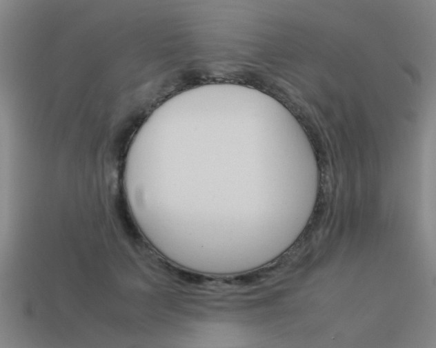 X0000113990703200910021010