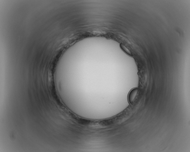 X0000113990704200910021010