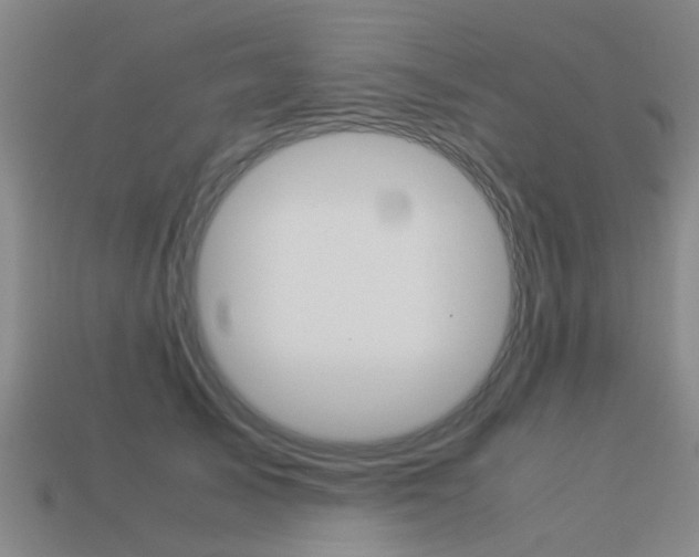 X0000113990705200910021010